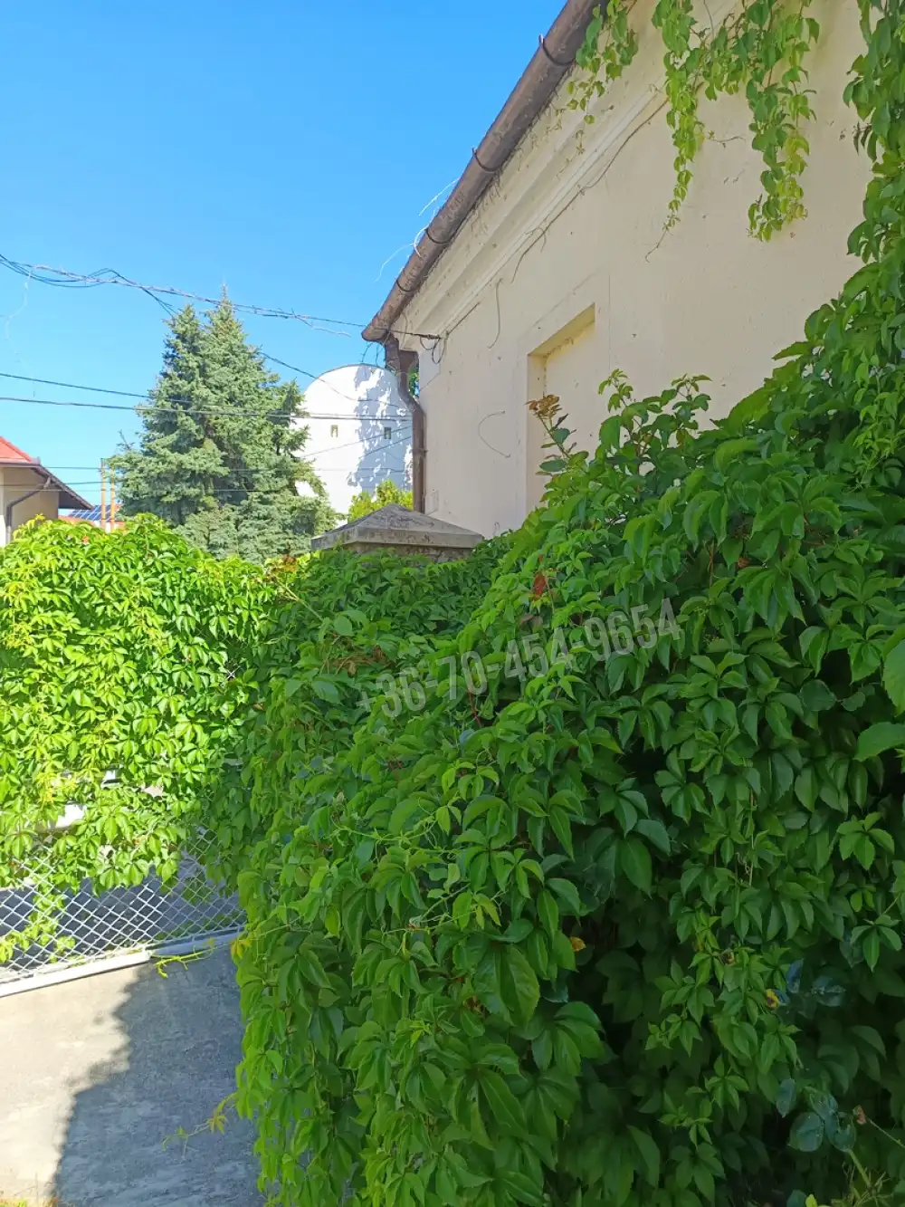 Veszprém megye - Balatonfüred