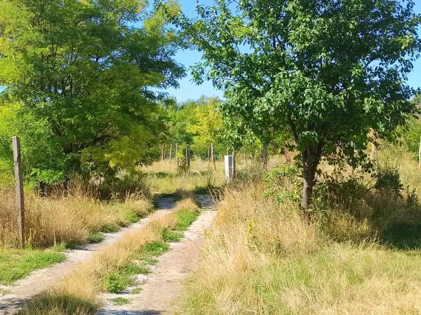 Eladó Építési telek, Balatonfüred 2764 m² 112 M Ft