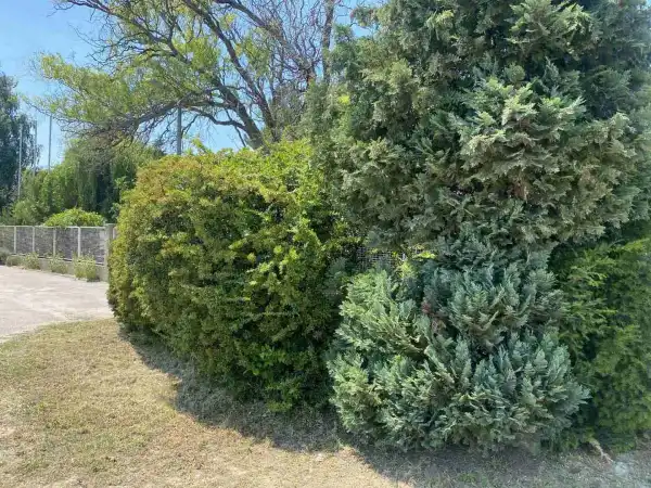 Eladó Építési telek, Dunaharaszti 6000 m² 280 M Ft