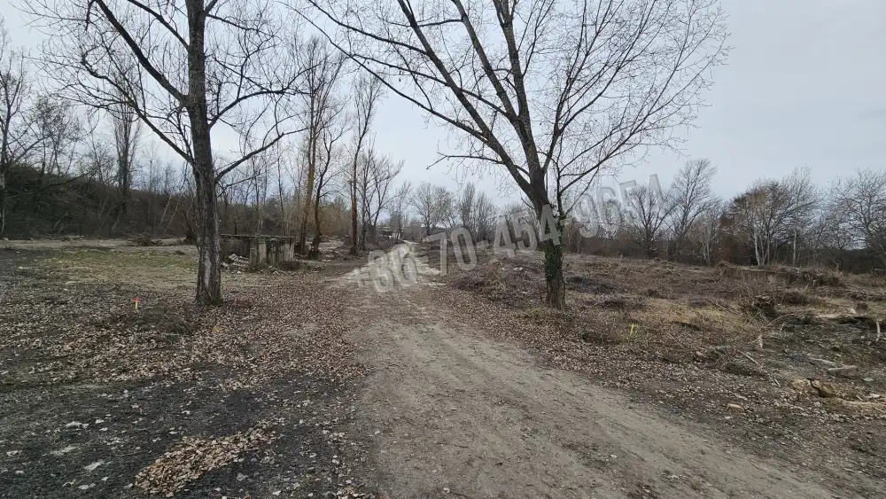 Fejér megye - Martonvásár