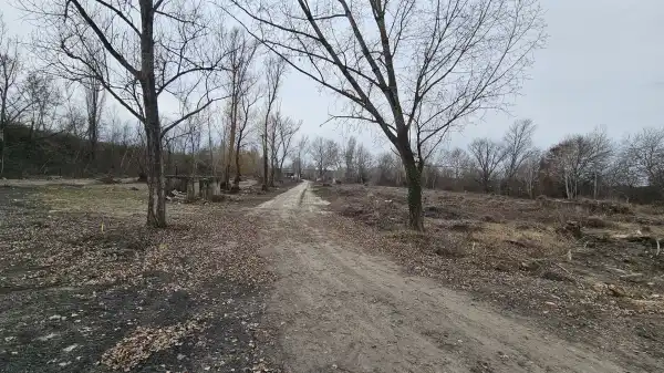 Eladó Építési telek, Martonvásár 5267 m² 172.76 M Ft