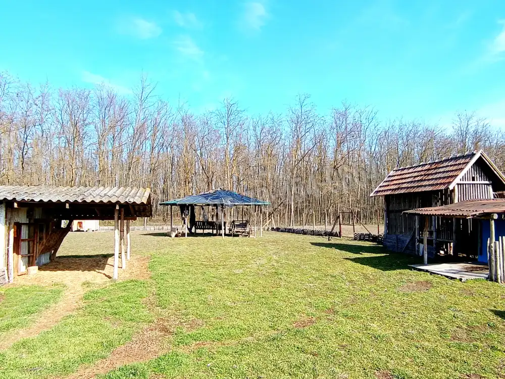 Pest megye - Kocsér