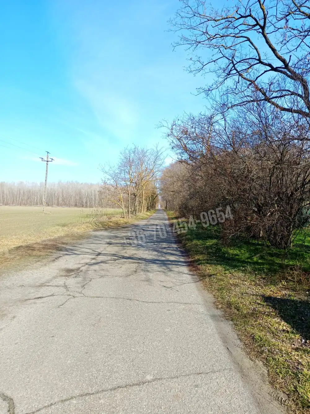 Pest megye - Kocsér