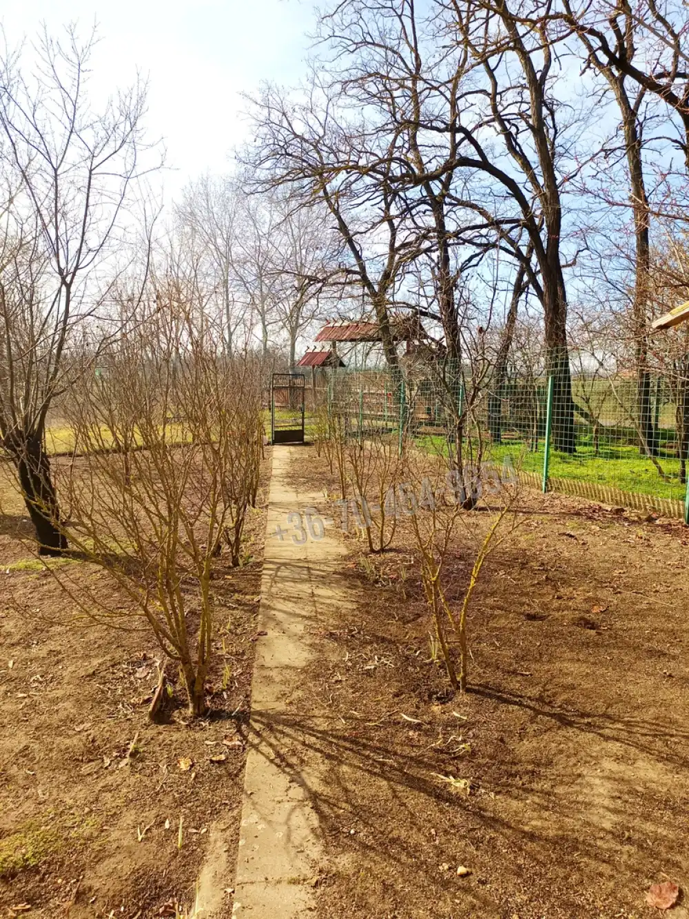 Pest megye - Kocsér