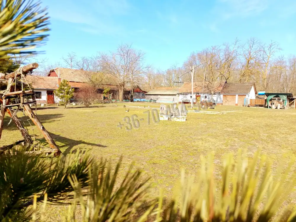 Pest megye - Kocsér