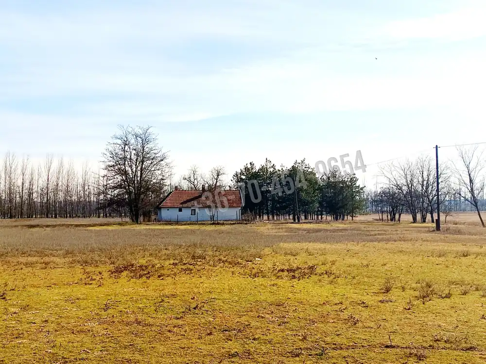 Pest megye - Kocsér